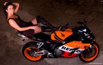 008733-full.jpg
