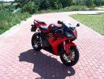 062058cbr_male.jpg