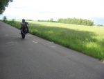103333img_2991.jpg
