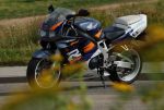 113158fireblade1.jpg