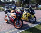 1149281000_i_954_zalew_2010.jpg