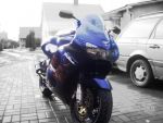 120658fireblade.jpg