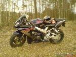 160226bikepics-1213036-800.jpg