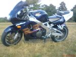 171727dsc00156.jpg