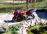 215024lewy_900rr.jpg