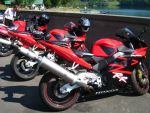 224748img_8075mmmn.jpg
