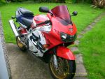 230833cbr1.jpg