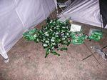 brno_2007_017.jpg