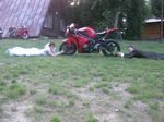 spotkanie_fireblade2012_234.jpg