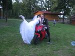 spotkanie_fireblade2012_235.jpg